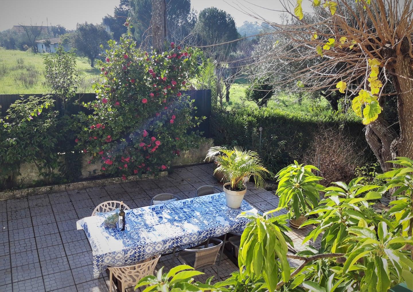 Casa Azul Tomar Prive Vakantiehuis Εξωτερικό φωτογραφία