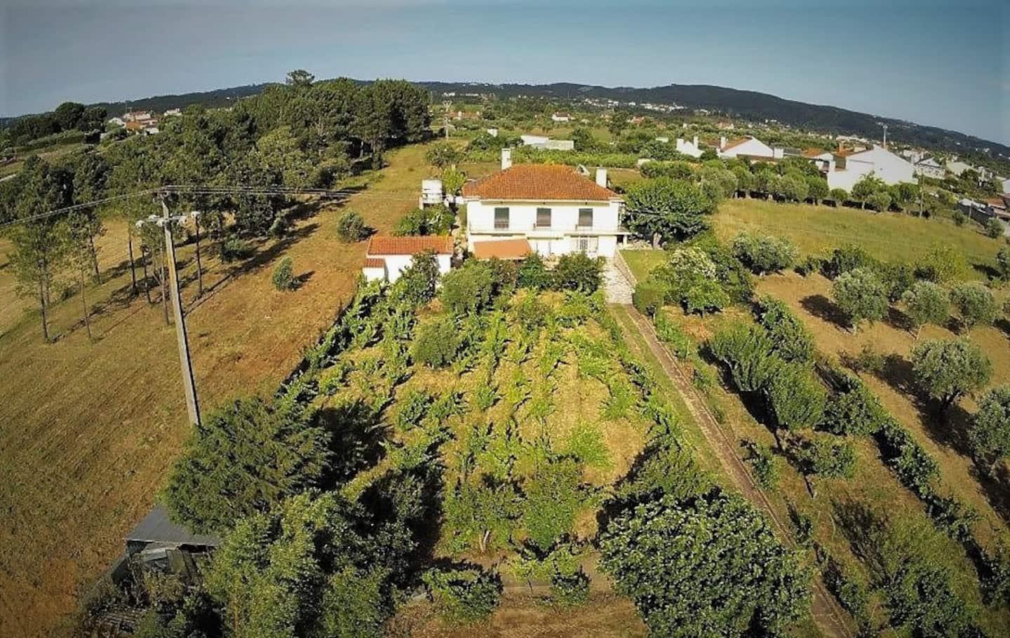 Casa Azul Tomar Prive Vakantiehuis Εξωτερικό φωτογραφία